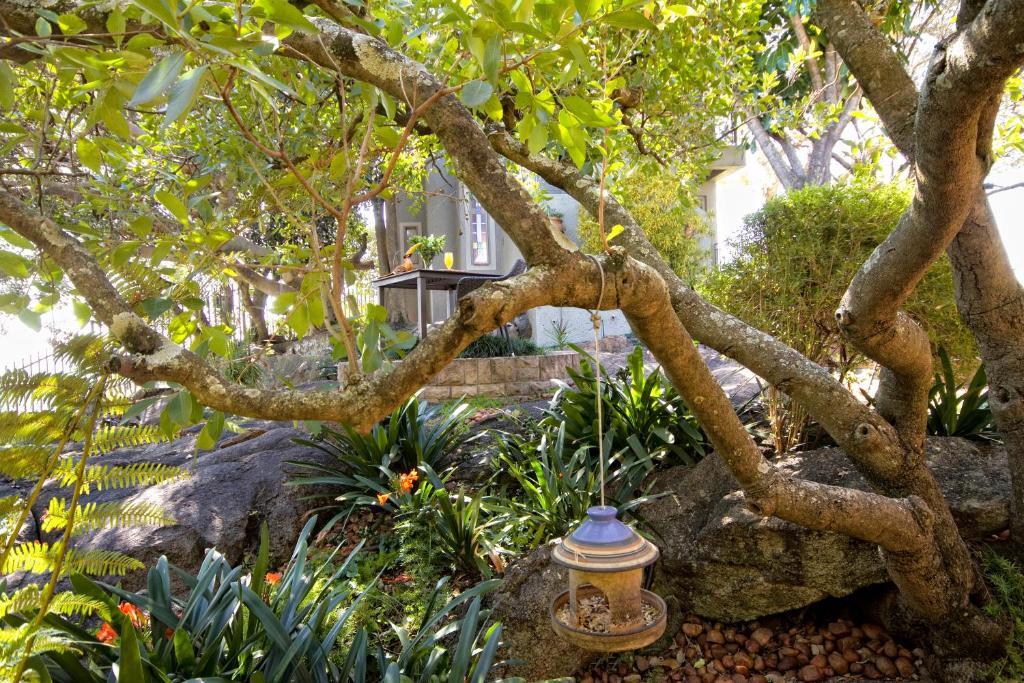 Loerie'S Call Guesthouse Mbombela Eksteriør bilde